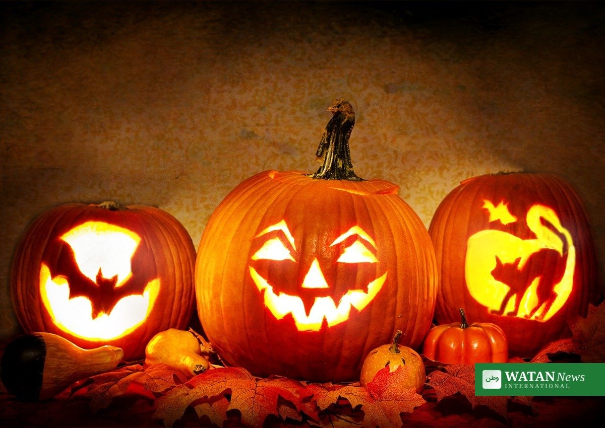 Udskårne halloweengræskar lyser op i efterårsmørket