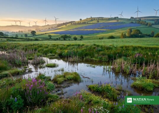 Wind turbines and solar panels on green European hills — EU LIFE programme climate funding