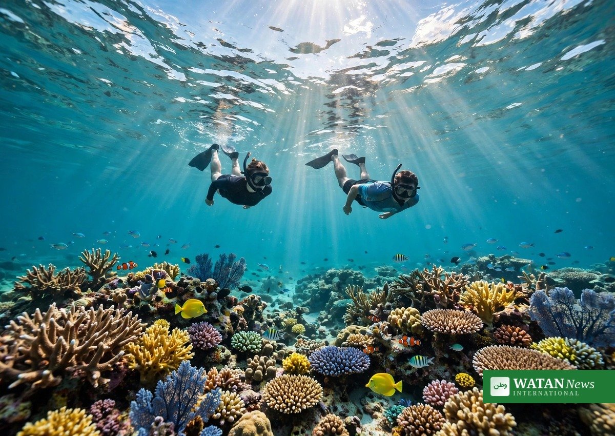 Snorkellers over a healthy coral reef in the Maldives green destination