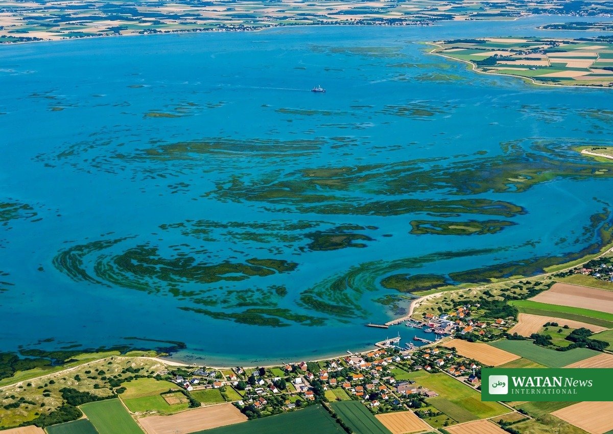 iltsvind 2026 — luftoptagelse af danske farvande med iltsvind-områder