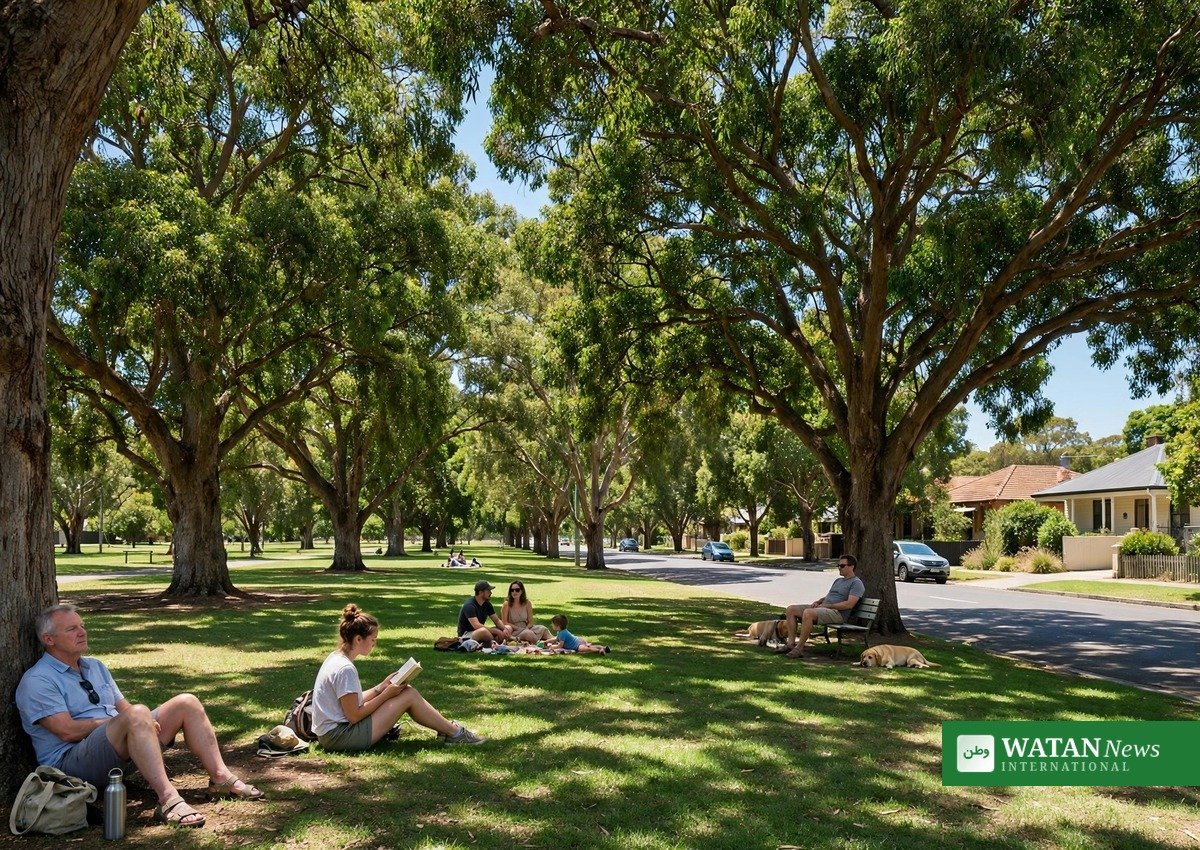 Resilient East Climate Action Plan Adelaide shaded park trees