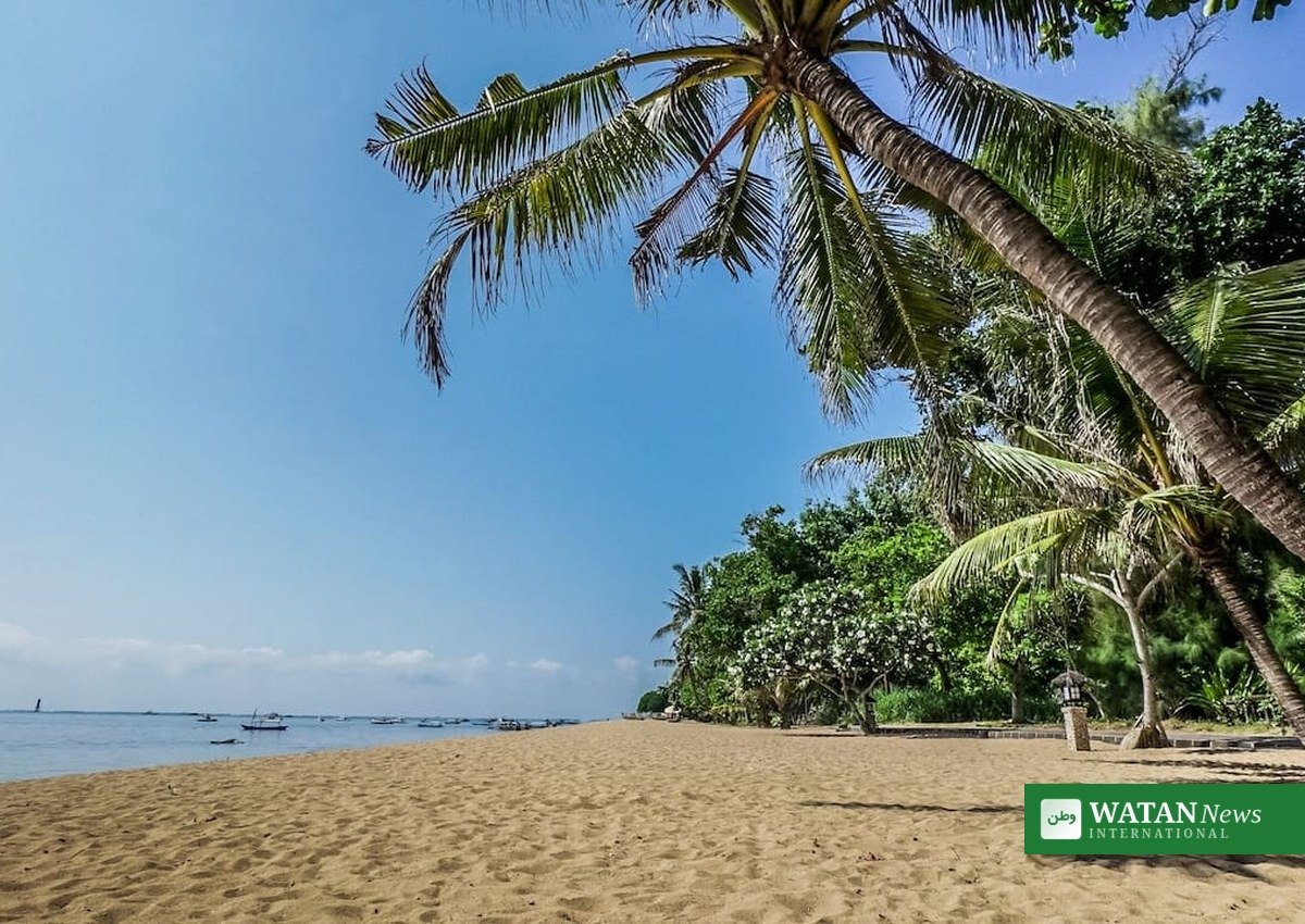 Bali beach palm trees