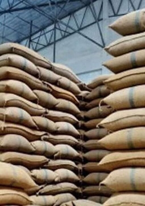 بلوچستان میں گندم کی بوریوں کا ذخیرہ