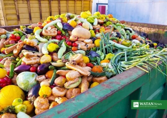 Madspild i container med spildte grøntsager – ISO 20001 standard skal bekæmpe madspild